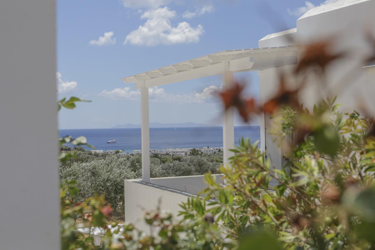 Ktima Vrisiana Apartment Platis Gialos  Екстериор снимка